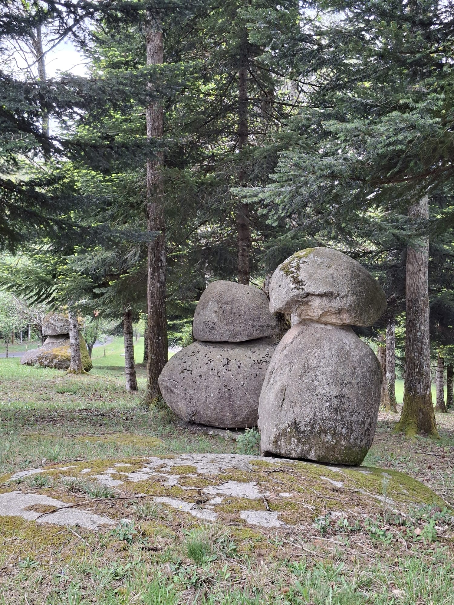 IMG-20260425-WA0052